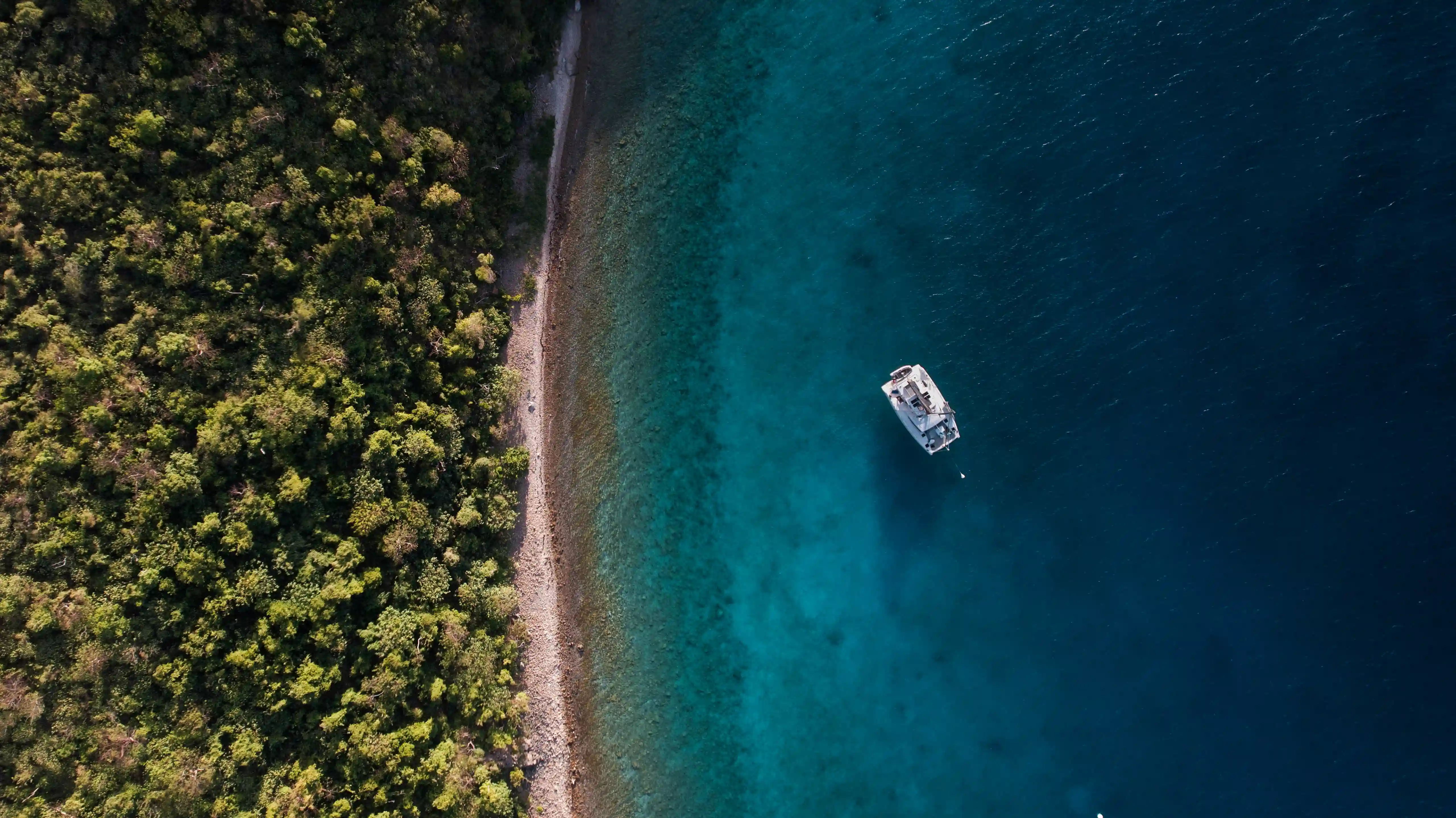 Aerial view of forested coastline with beach and ocean